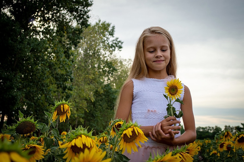 kleines Mädchen mit Sonnenblume auf dem Feld