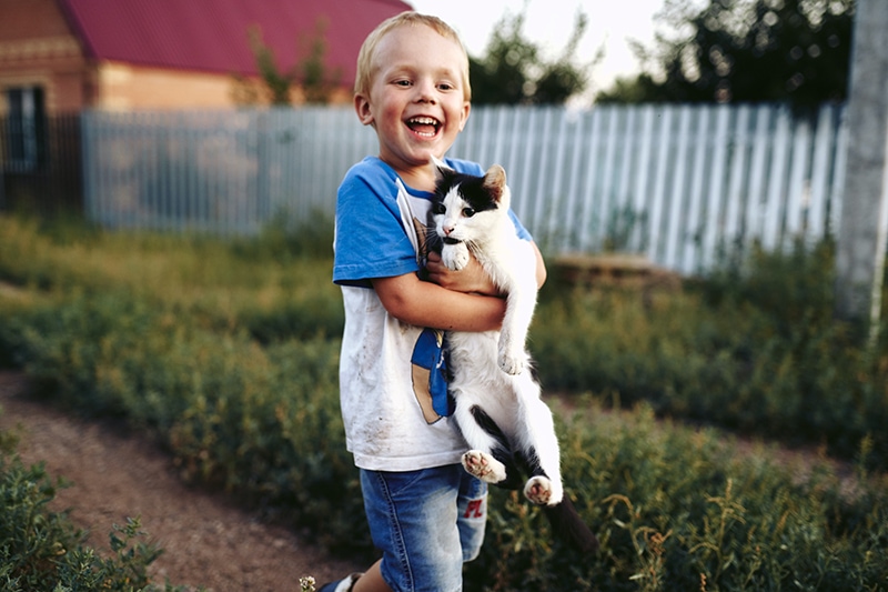 lächelnder Junge, der eine Katze im Garten trägt