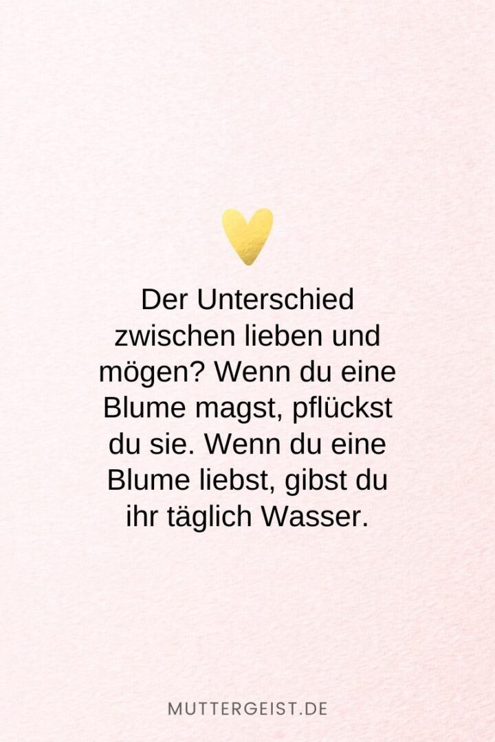 152 Liebe ist Sprüche Denn Liebe ist mehr als nur ein Wort