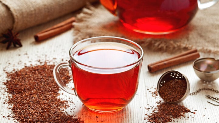 Rooibos-Tee Schwangerschaft – In BIO-Qualität ein gesunder Durstlöscher
