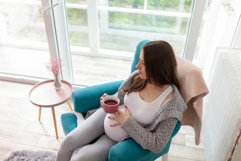 Schwangere Frau entspannt sich und trinkt Tee im Sessel