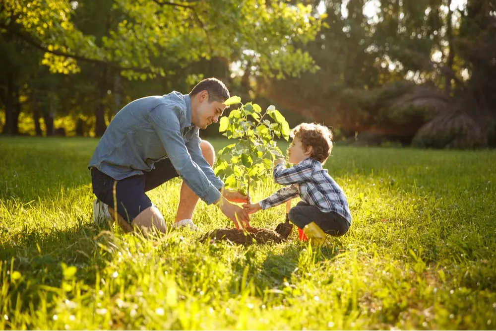 Vater und Sohn pflanzen einen Baum in die Erde und lächeln