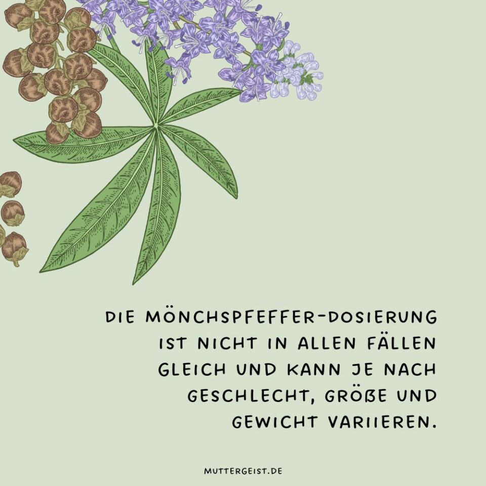 Kann Mönchspfeffer beim Kinderwunsch helfen?
