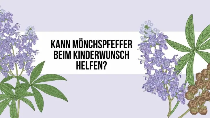 Kann Mönchspfeffer beim Kinderwunsch helfen?