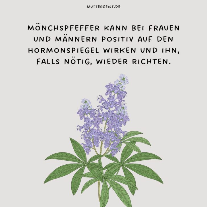 Kann Mönchspfeffer beim Kinderwunsch helfen?