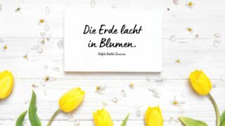 Frühling-Sprüche, Die Den Frühling In Dir Wecken Werden