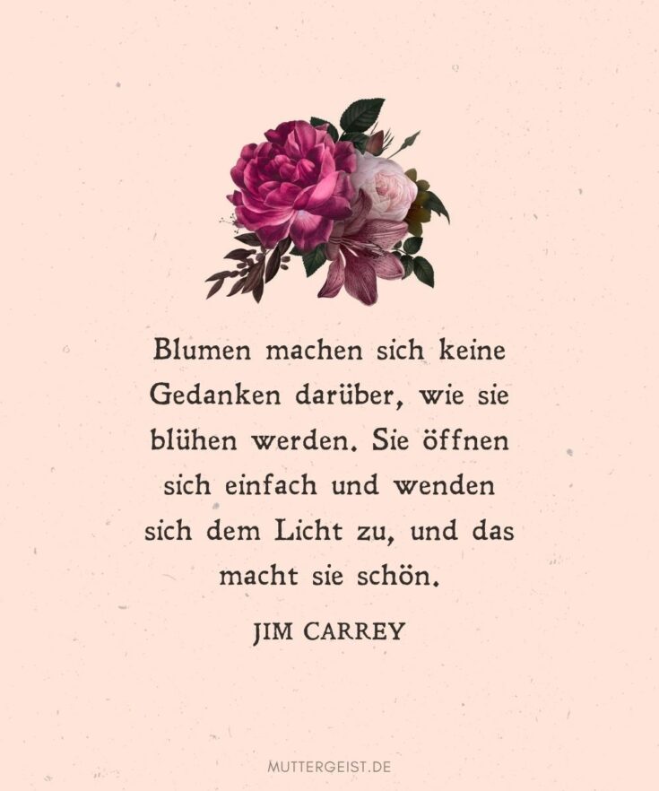 Geburtstagswünsche Blumen blumige Wünsche zum Geburtstag