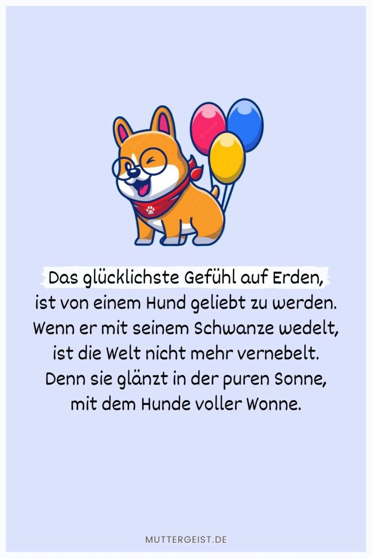 Geburtstagswünsche Hund Für Hundefreunde und ihre Vierbeiner