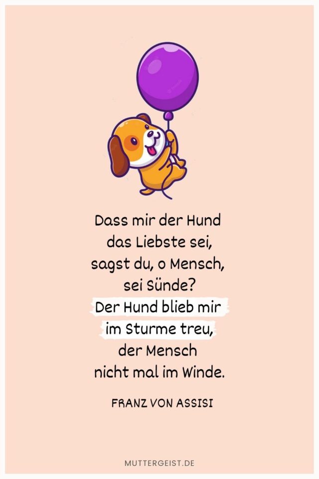 Geburtstagswünsche Hund Für Hundefreunde und ihre Vierbeiner
