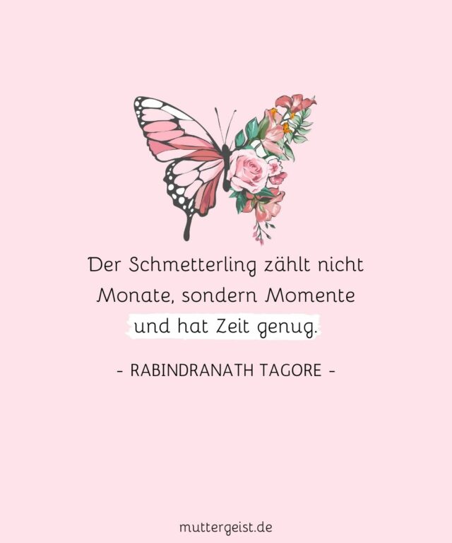 Schmetterlinge Sprüche Transformative Kraft, die Hoffnung schenkt