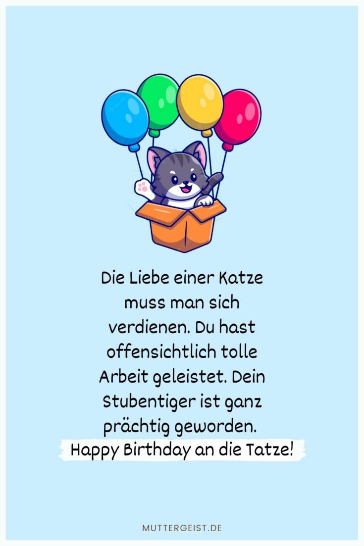 Geburtstagswünsche Katze 45 Sprüche für den Stubentiger