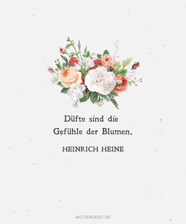 Geburtstagswünsche Blumen blumige Wünsche zum Geburtstag