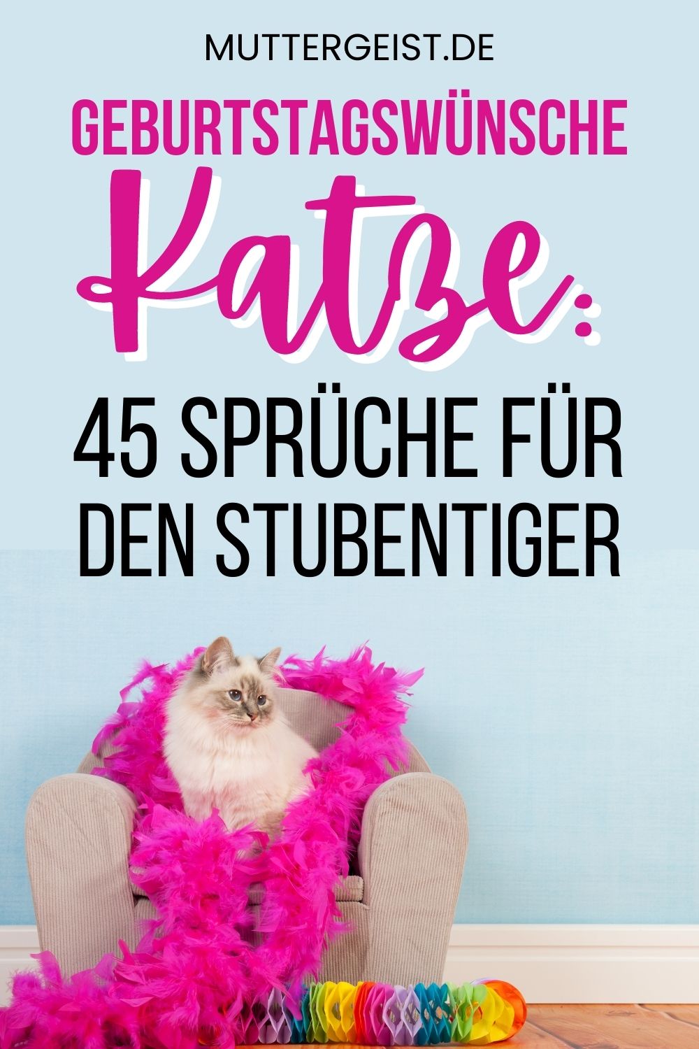 Geburtstagswünsche Katze – 45 Sprüche für den Stubentiger Pinterest