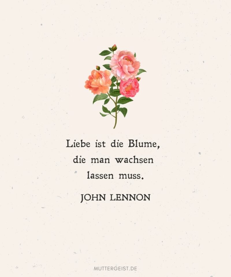 Geburtstagswünsche Blumen blumige Wünsche zum Geburtstag