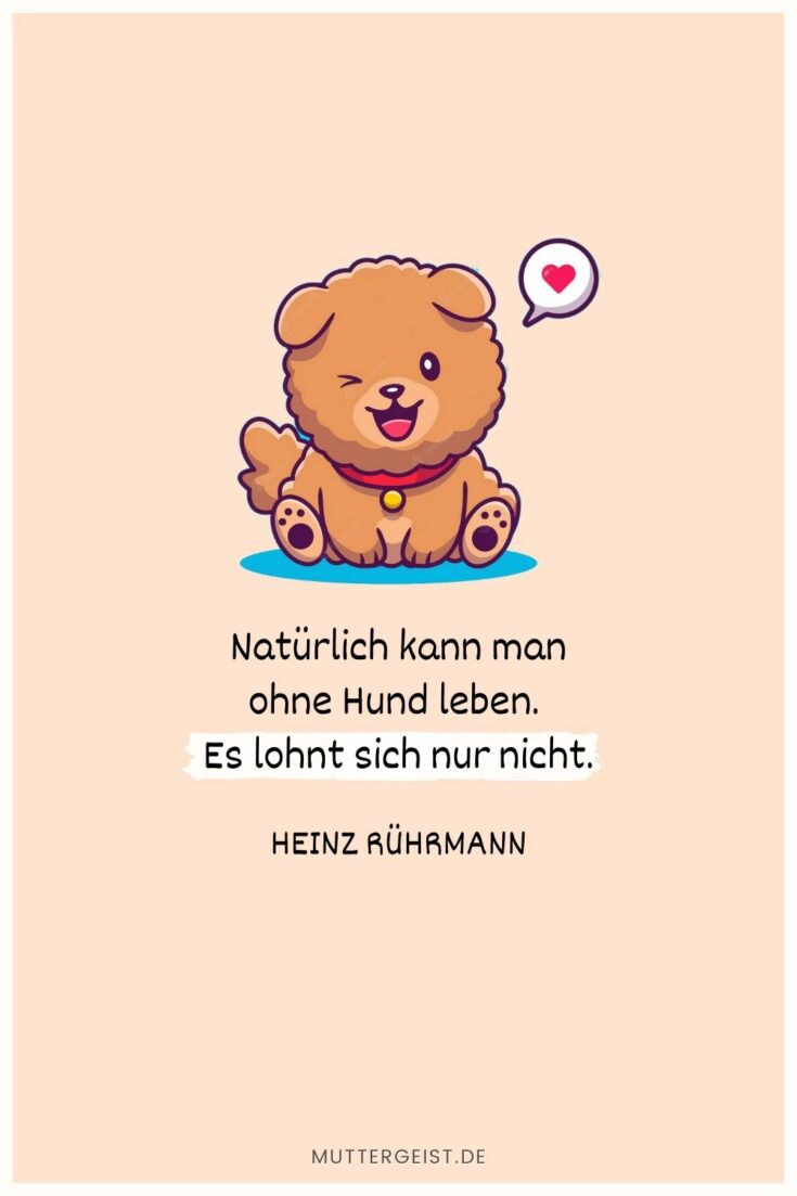 Geburtstagswünsche Hund Für Hundefreunde und ihre Vierbeiner