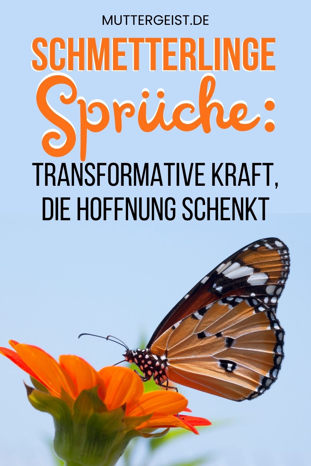 Schmetterlinge Sprüche – Transformative Kraft, die Hoffnung schenkt Pinterest