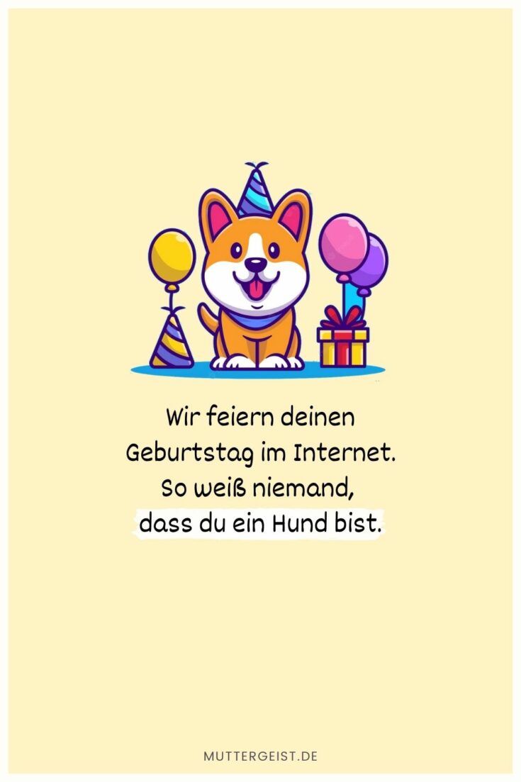 Geburtstagswünsche Hund Für Hundefreunde und ihre Vierbeiner