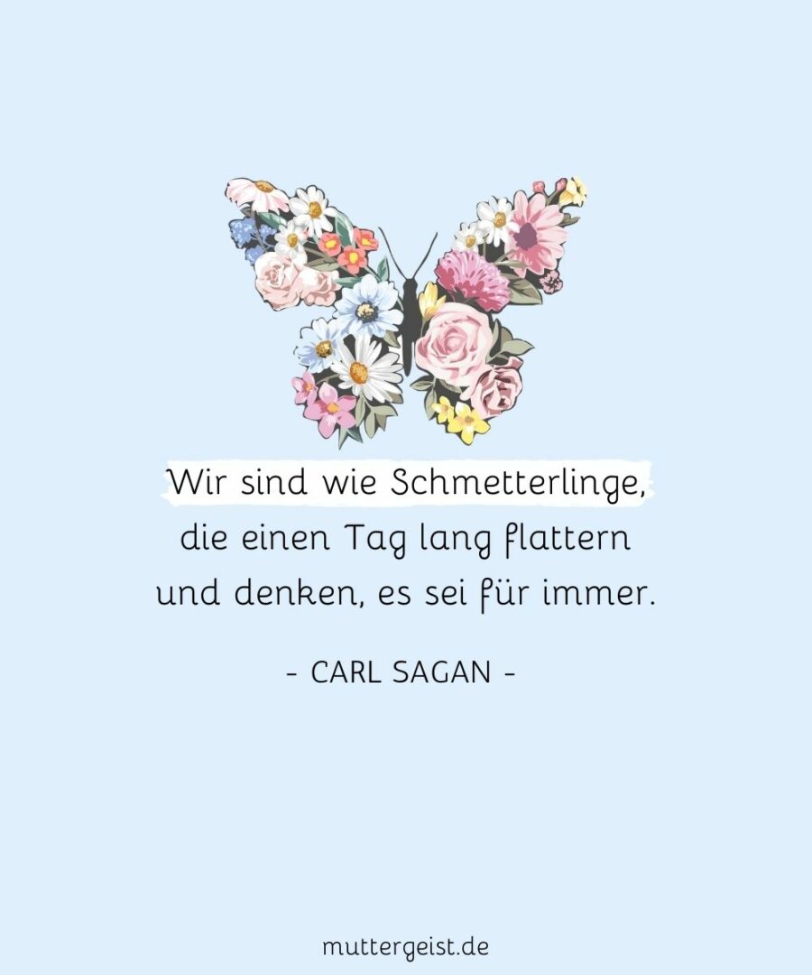 Schmetterlinge Sprüche Transformative Kraft, die Hoffnung schenkt