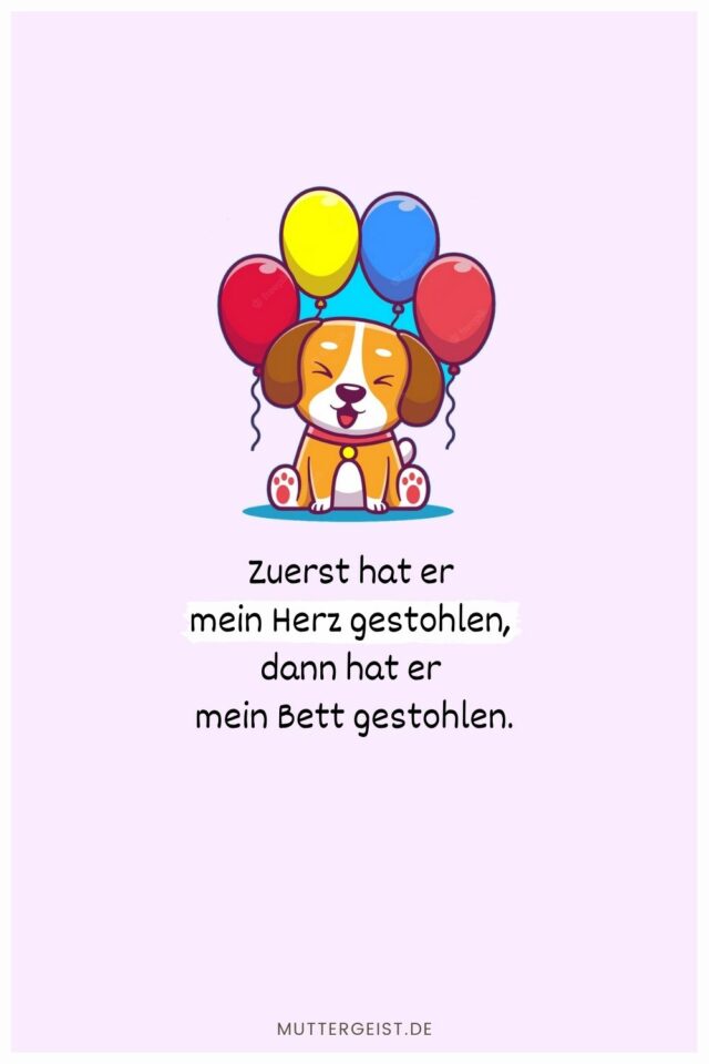 Geburtstagswünsche Hund Für Hundefreunde und ihre Vierbeiner