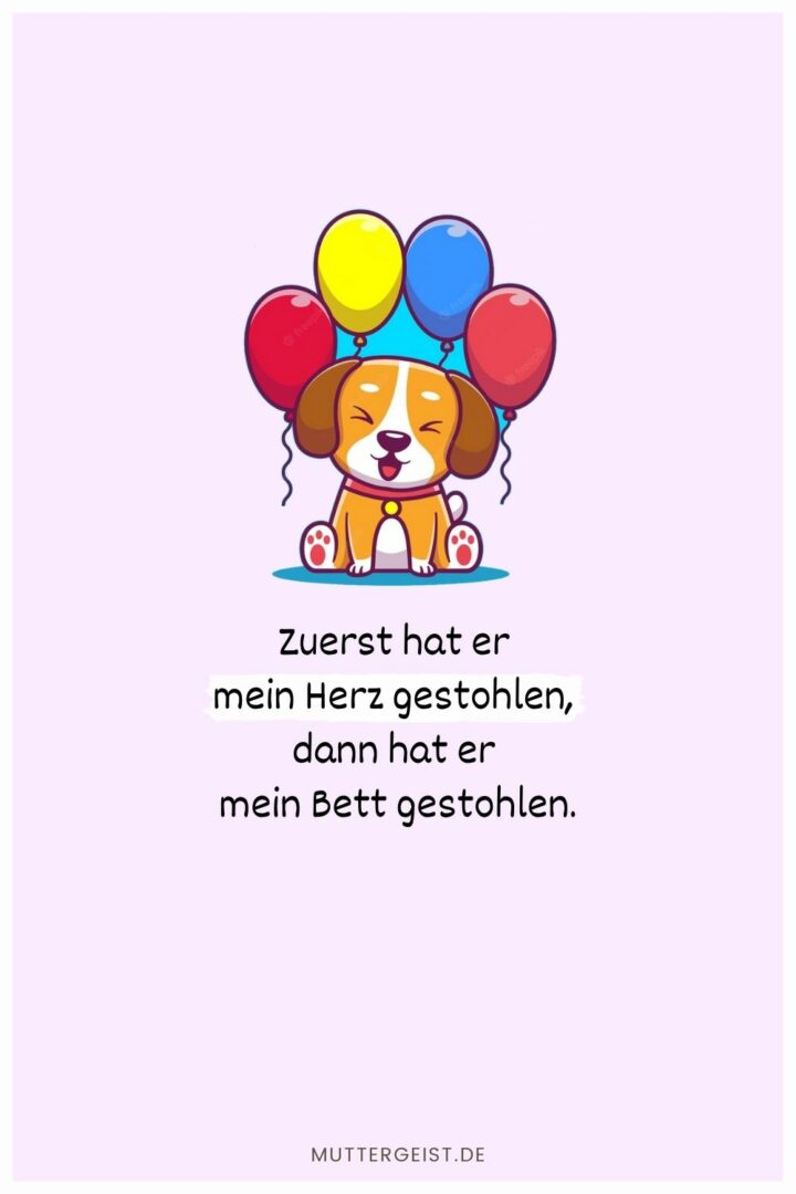Geburtstagswünsche Hund Für Hundefreunde und ihre Vierbeiner