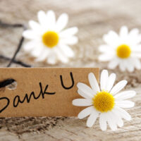 Ein natürlich aussehendes Etikett mit dem niederländischen Wort Dank U, was „Danke“ bedeutet