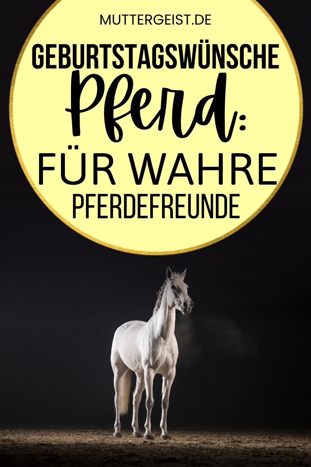 Geburtstagswünsche Pferd – Für wahre Pferdefreunde Pinterest