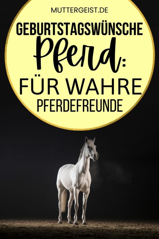 Geburtstagswünsche Pferd Für wahre Pferdefreunde