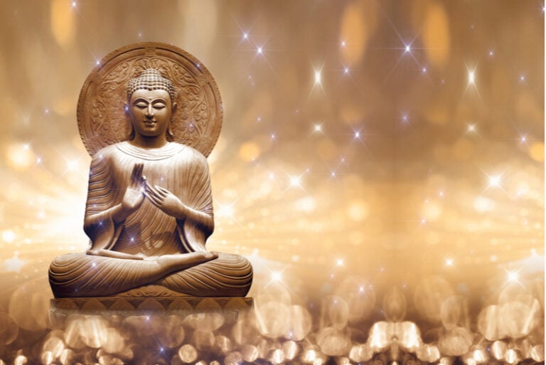 Buddha Brown funkelt im Sternenlicht