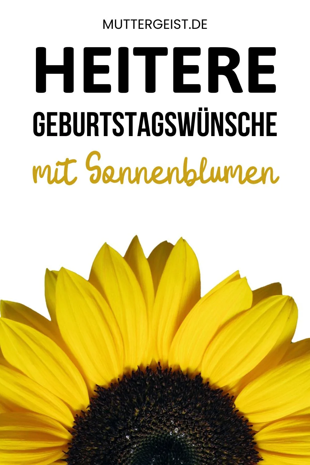Heitere Geburtstagswünsche mit Sonnenblumen Pinterest