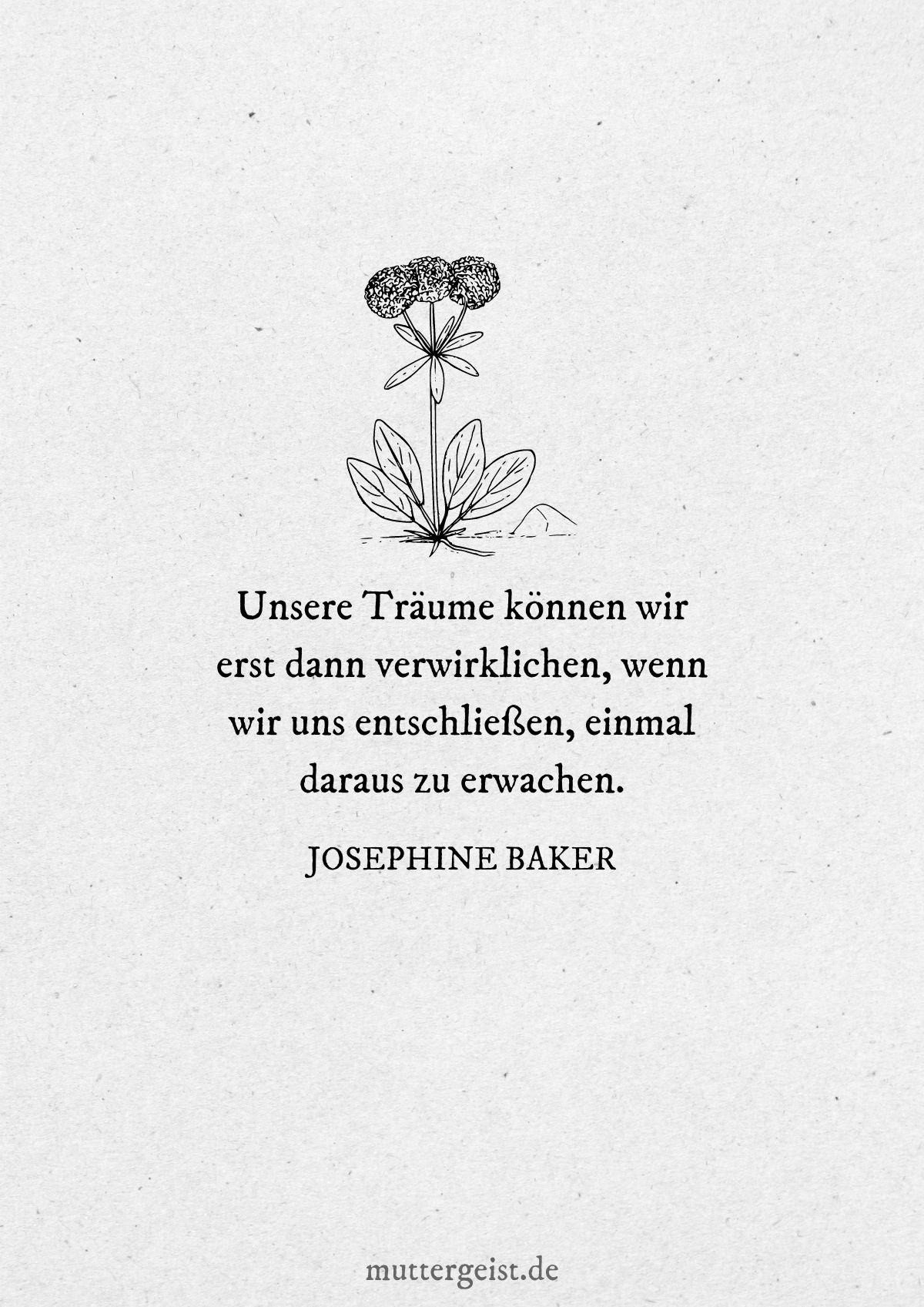 Zitat von Josephine Baker über die Verwirklichung Ihrer Träume
