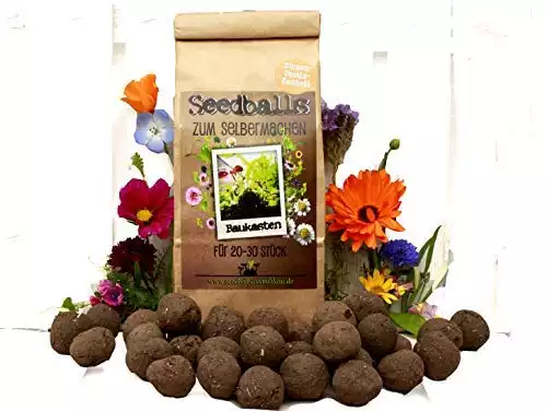 Seedball-Baukasten
