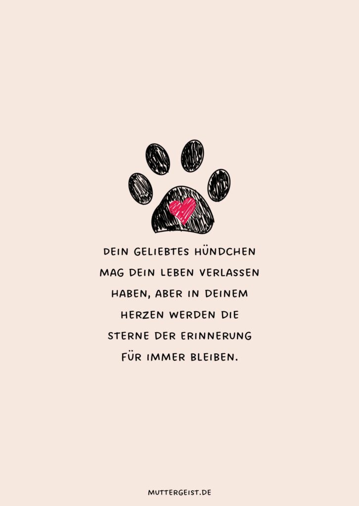 Tröstende Sprüche zum Abschied vom verstorbenen Hund