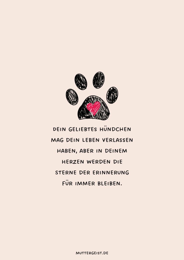 Tröstende Sprüche zum Abschied vom verstorbenen Hund