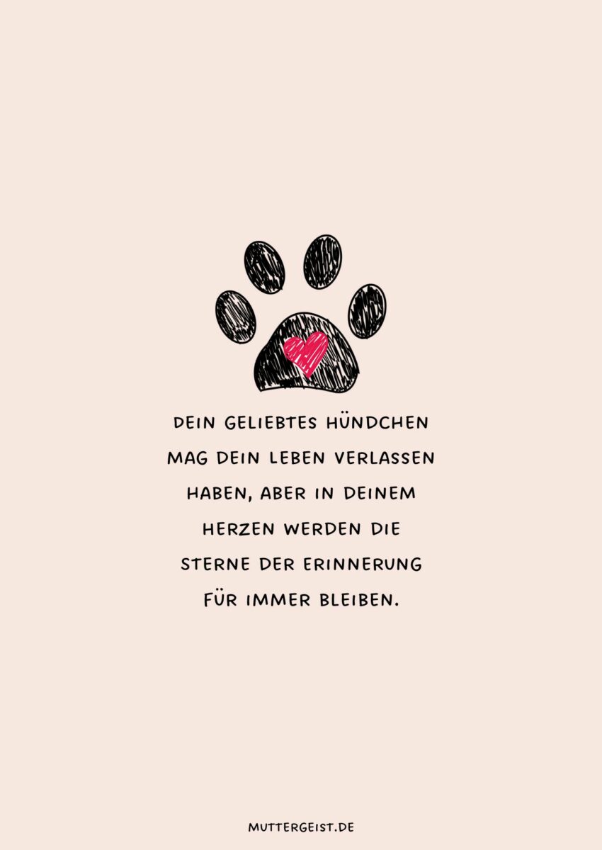 Tröstende Sprüche zum Abschied vom verstorbenen Hund