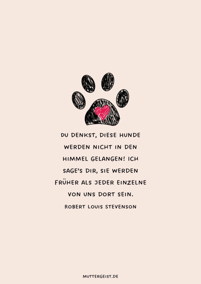 Tröstende Sprüche zum Abschied vom verstorbenen Hund