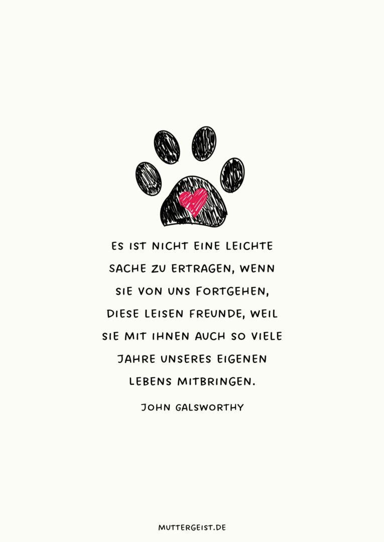 Tröstende Sprüche zum Abschied vom verstorbenen Hund