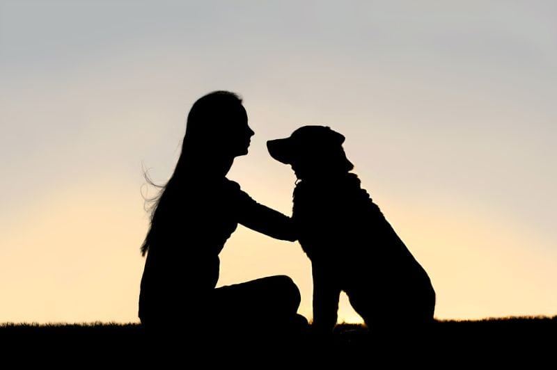 Silhouette Frau mit Hund