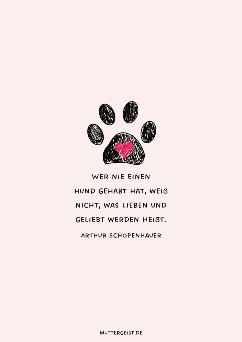 Tröstende Sprüche zum Abschied vom verstorbenen Hund