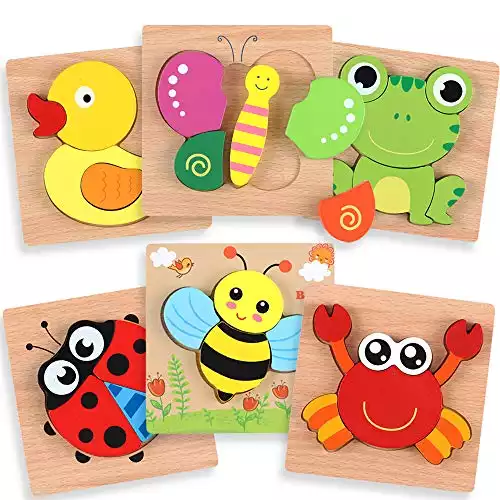 6 Steckpuzzle