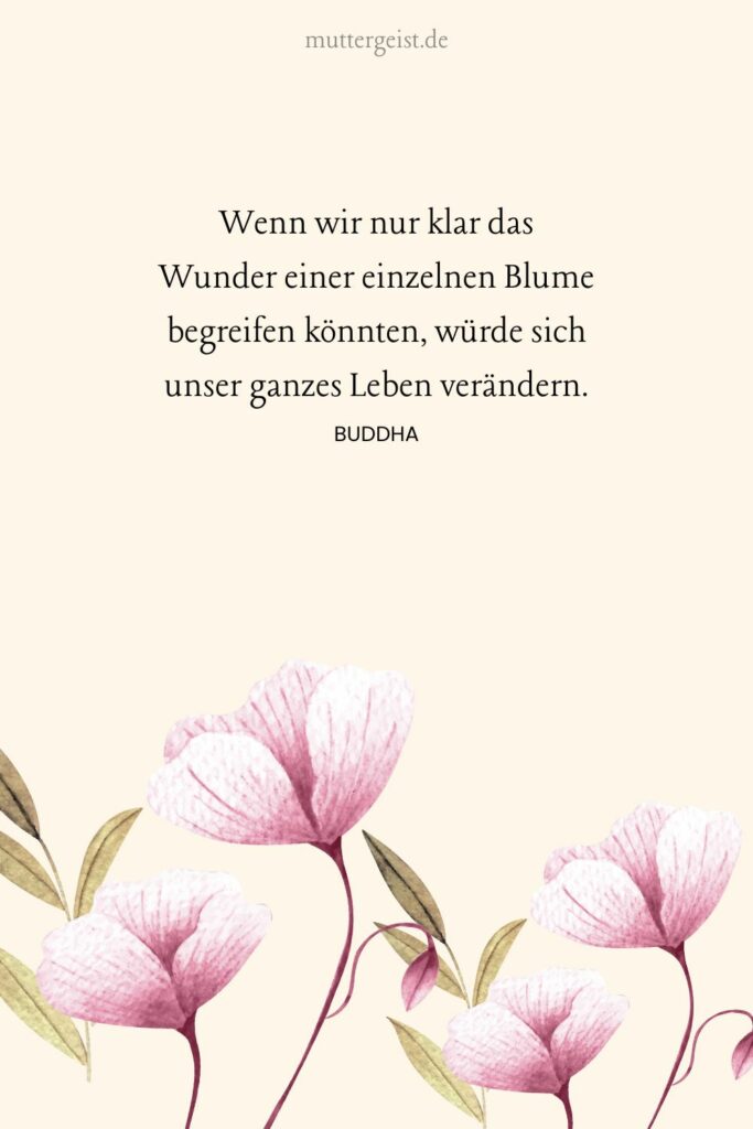 Frische BlumenSprüche zum Erblühen