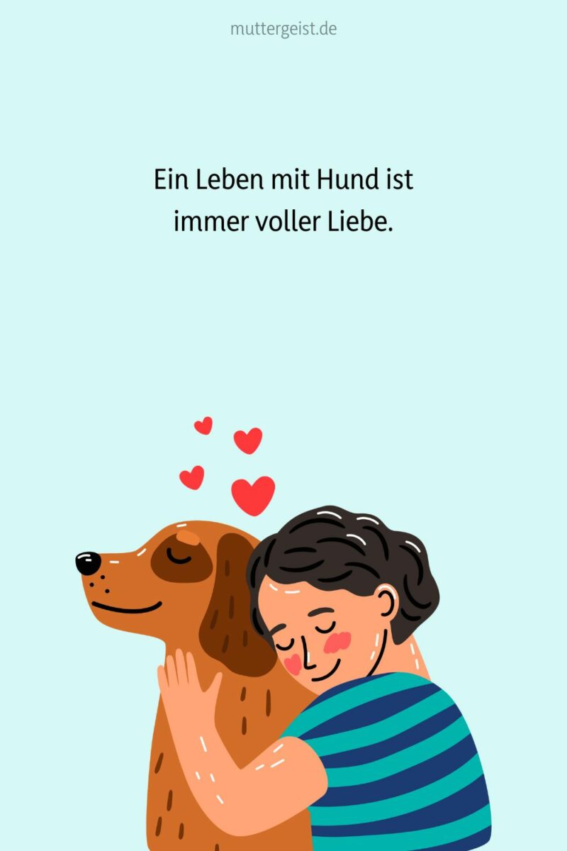 Die besten HundeSprüche über die liebsten Fellnasen!