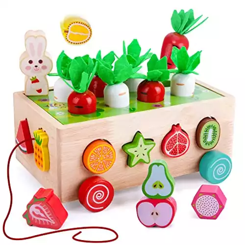 Picking und Nachziehspielzeug mit Früchte und Karotten