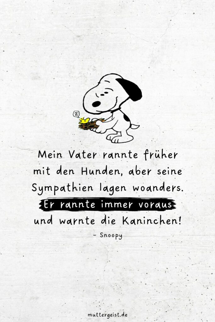 SnoopySprüche für das Leben, die Liebe und das Lachen
