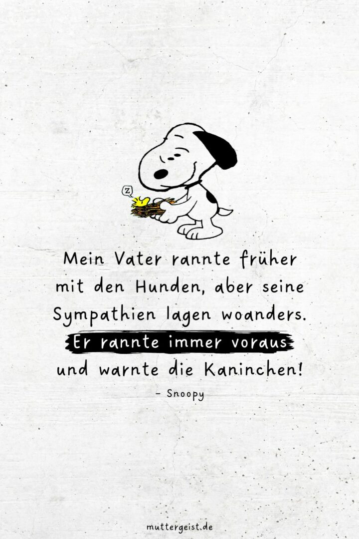 SnoopySprüche für das Leben, die Liebe und das Lachen