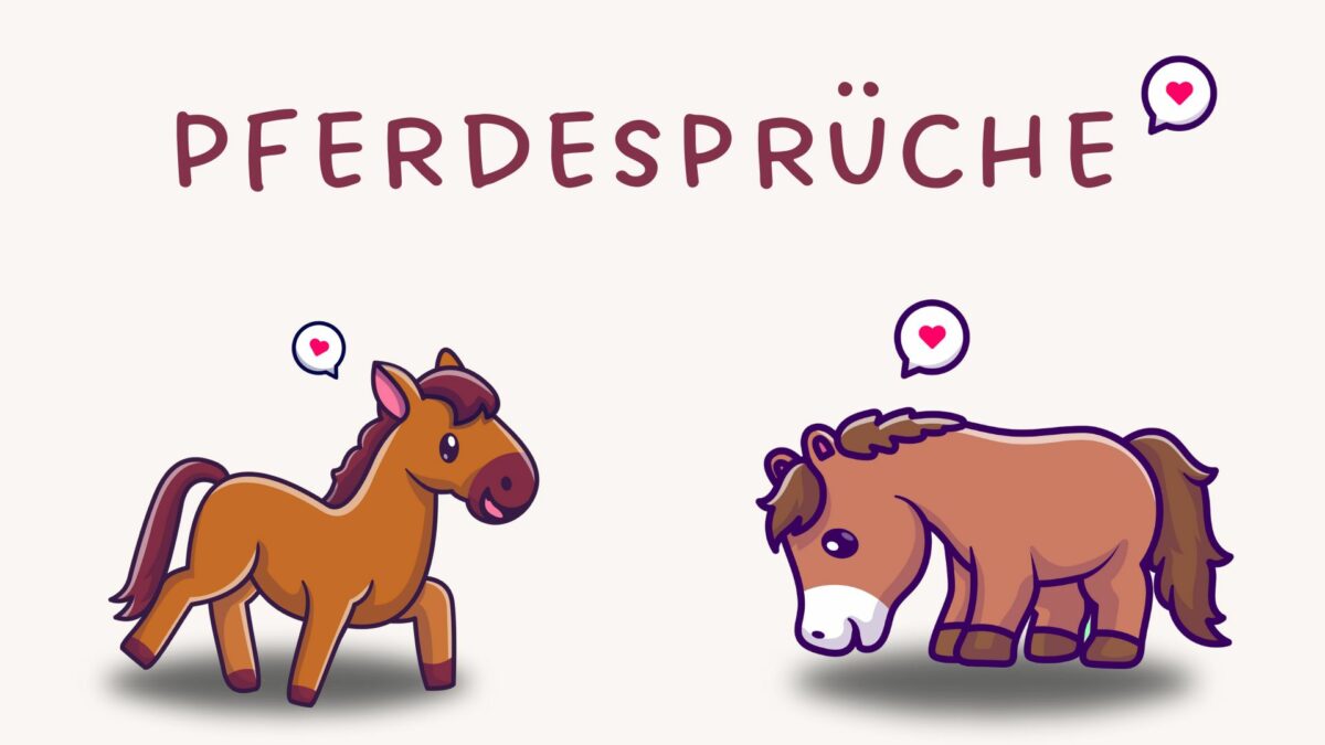 Pferdesprüche, die die Liebe zu Pferden besingen