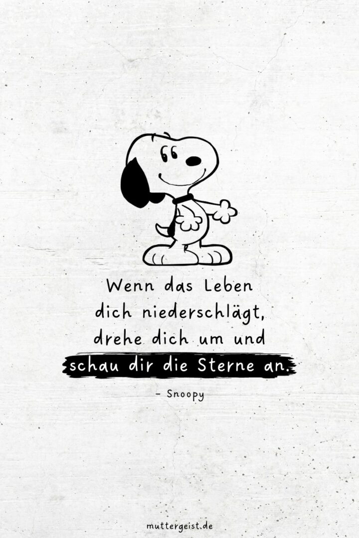 SnoopySprüche für das Leben, die Liebe und das Lachen