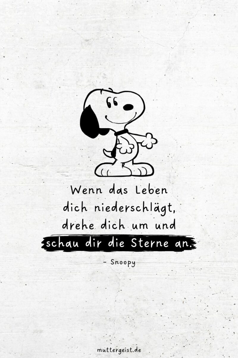 SnoopySprüche für das Leben, die Liebe und das Lachen
