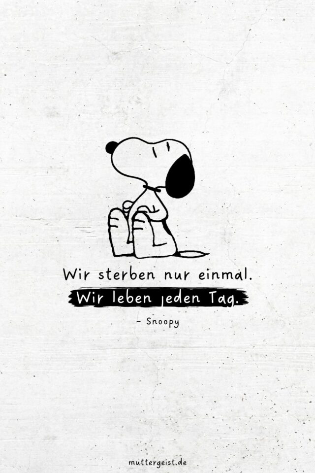 SnoopySprüche für das Leben, die Liebe und das Lachen