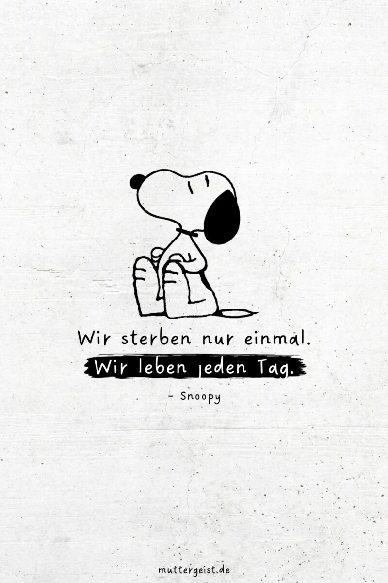 SnoopySprüche für das Leben, die Liebe und das Lachen
