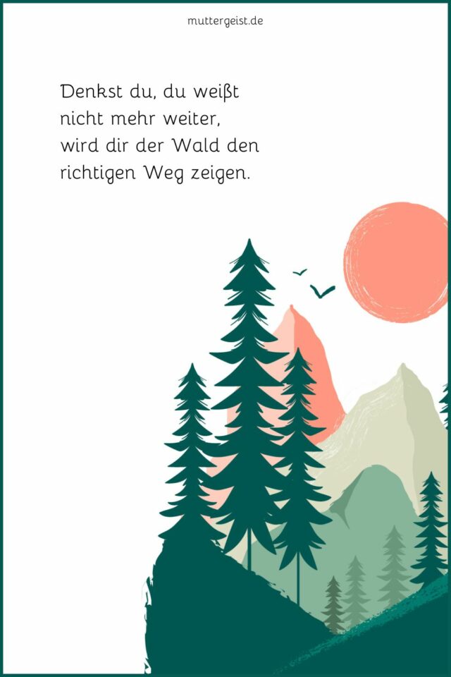 WaldSprüche für inspirierendes Waldgeflüster